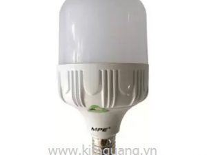 LED Bulb MPE 20W