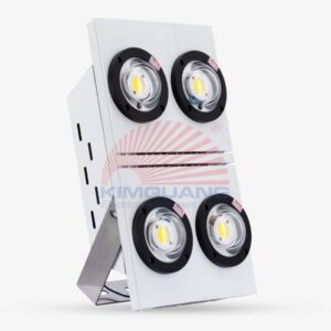 Rạng Đông Đèn LED chiếu pha siêu sáng CP09 350W