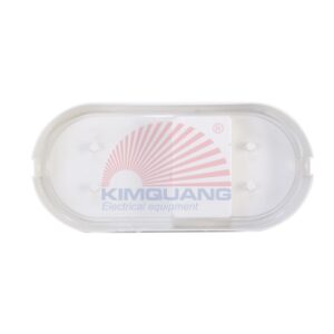 Rạng Đông Đèn LED gắn tường LN12 90x195/10W