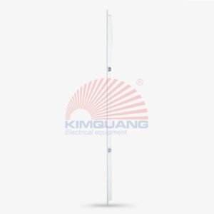 Rạng Đông Đèn LED panel chữ nhật P06 300x1200/50W