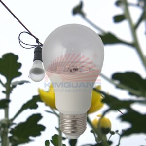 Rạng Đông Đèn LED Bulb hoa cúc 6W HC A60/6W WR