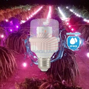 Rạng Đông Đèn LED Bulb thanh long 9W LED.TL-T60 WRF/9W