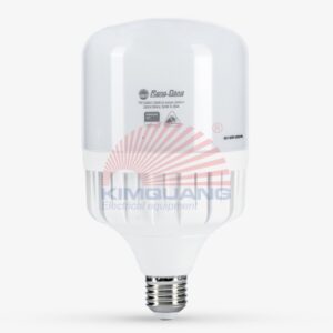 Rạng Đông Bóng đèn LED Bulb TR100N1/30W E27