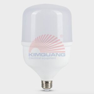 Rạng Đông Bóng đèn LED Bulb chuyên dùng cho tàu cá TR100N1.DC/30W