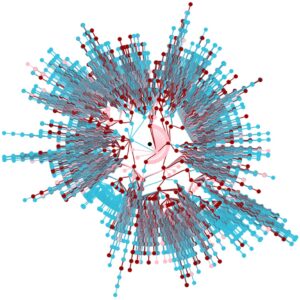 Mạng từ tiếng việt